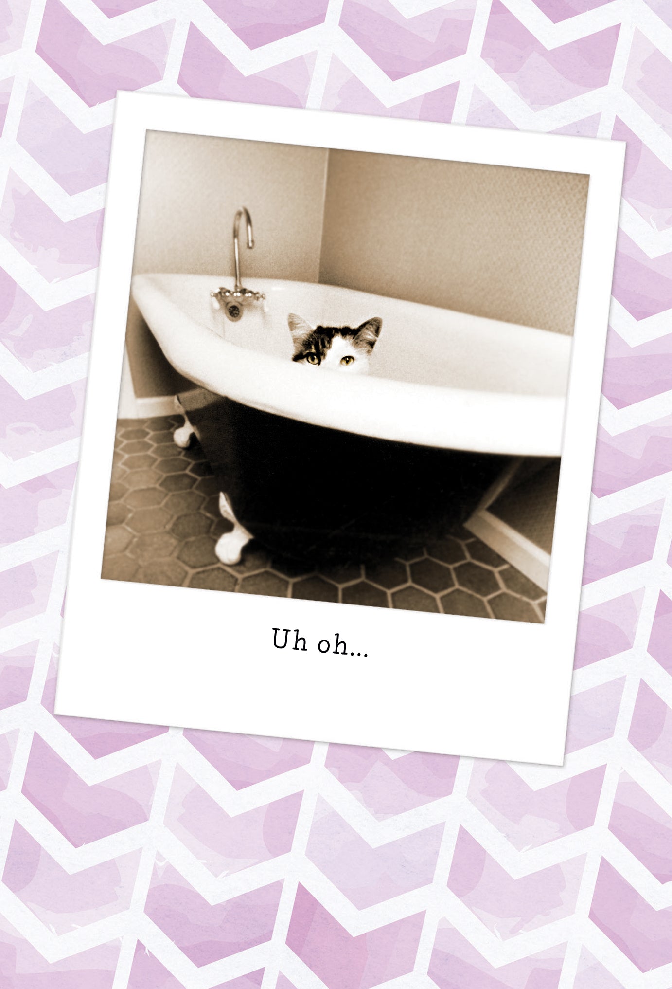 Cat in Bathtub Birthday Card - Cardmore