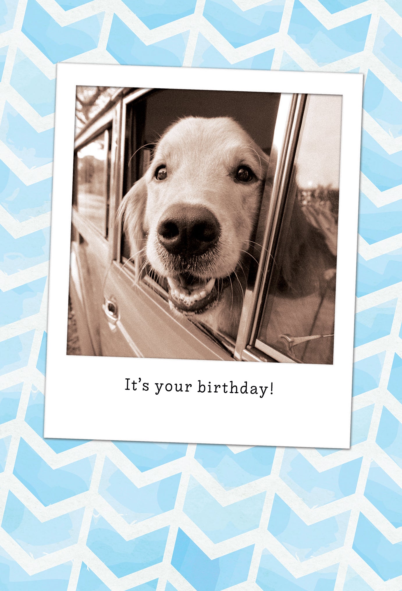 Dog in Car Birthday Card - Cardmore