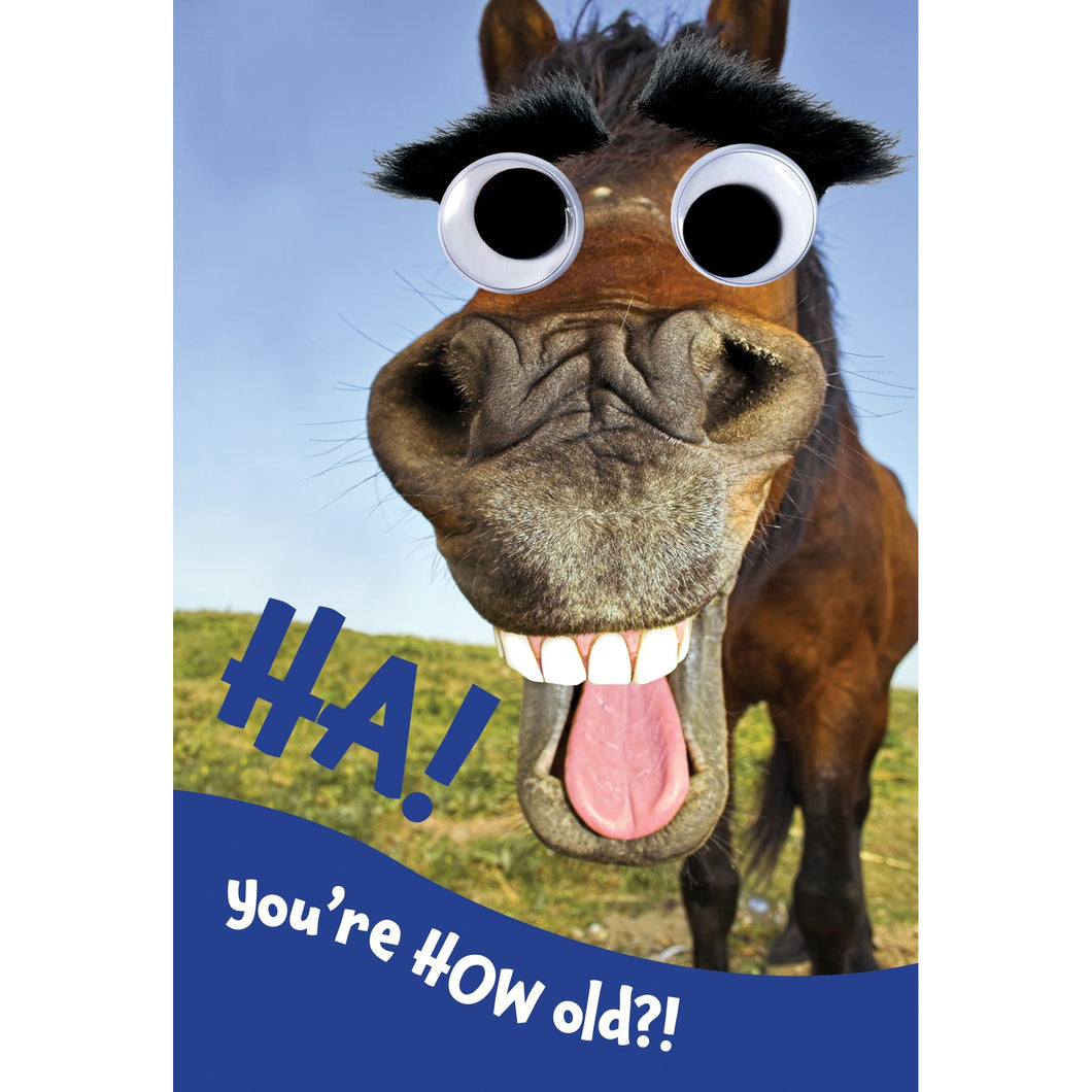 Horse Laughing Birthday Card Funny