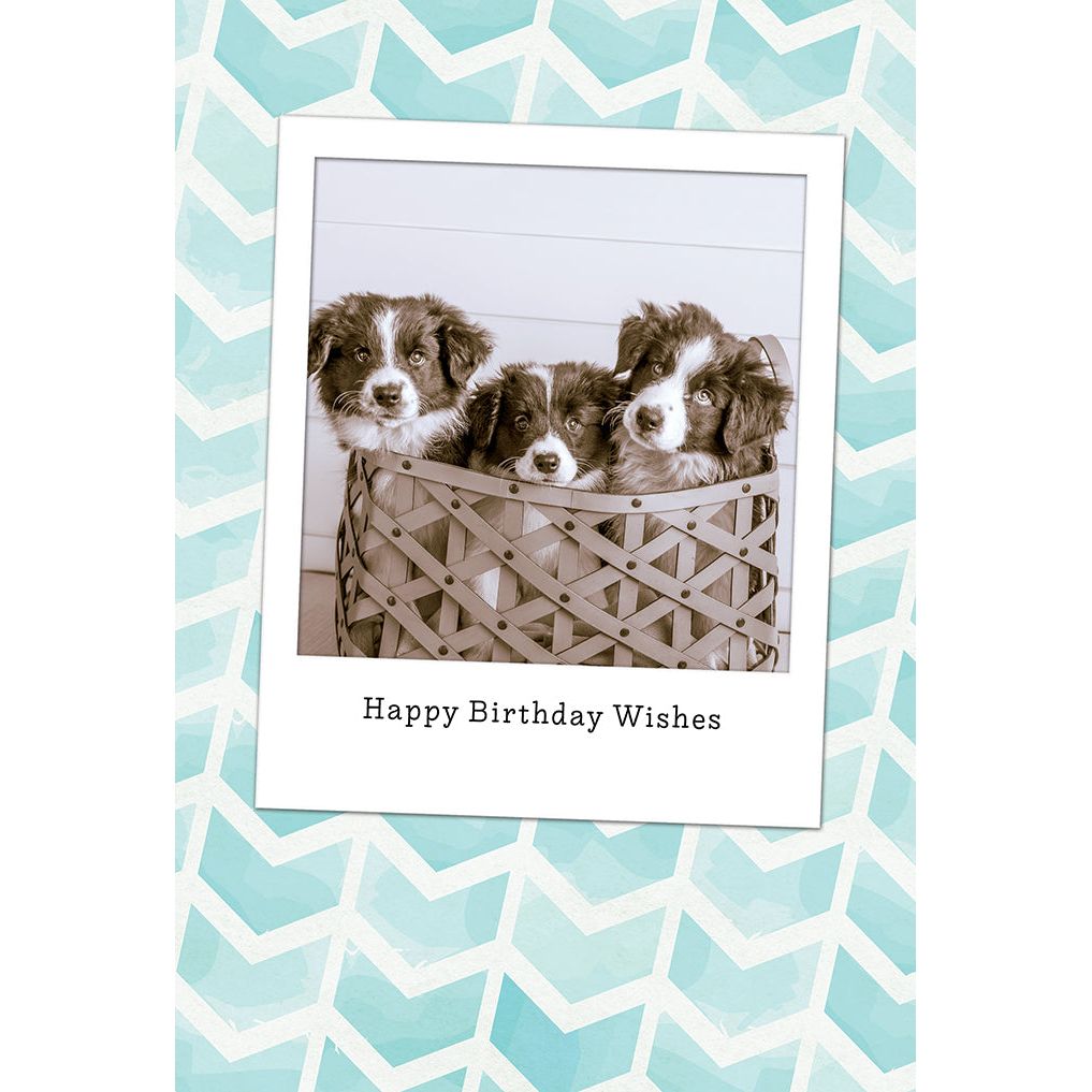 Basket Of Puppies Birthday Card From Us