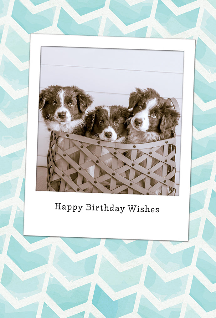 Basket Of Puppies Birthday Card From Us