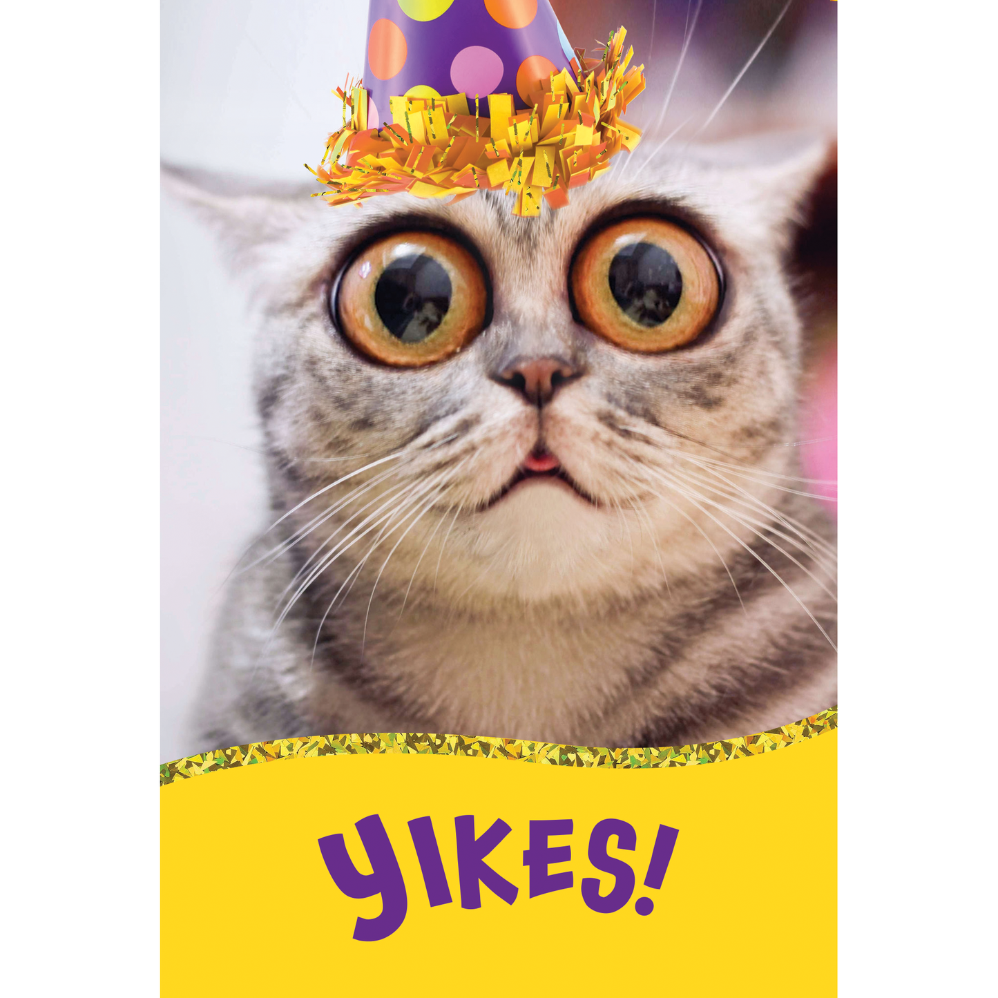Surprised Cat Birthday Card