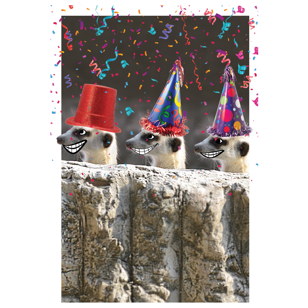 Meerkats Birthday Card