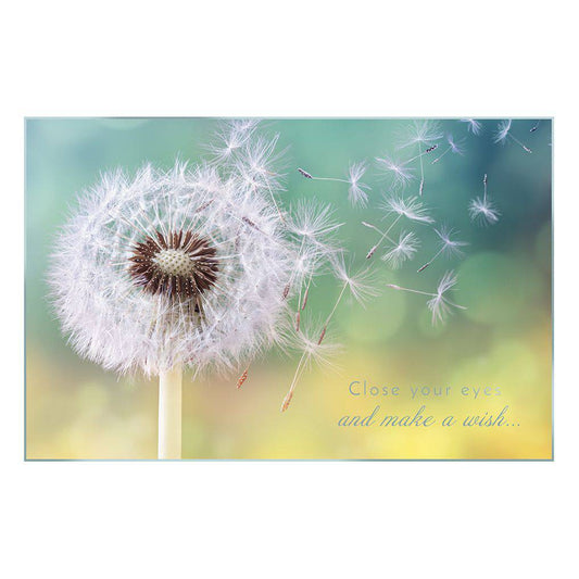 Dandelion blowing birthday card from Pictura featuring a delicate illustration of a dandelion seed head for celebration.