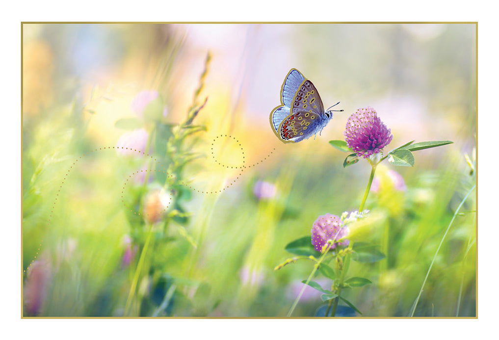 Butterfly Landing On Flower Birthday Card