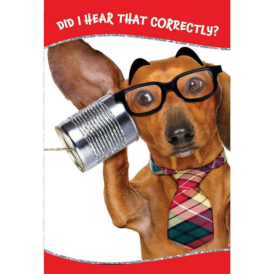 Dog Can Phone birthday card from Pictura, featuring a playful dog and phone design on an everyday greeting card.