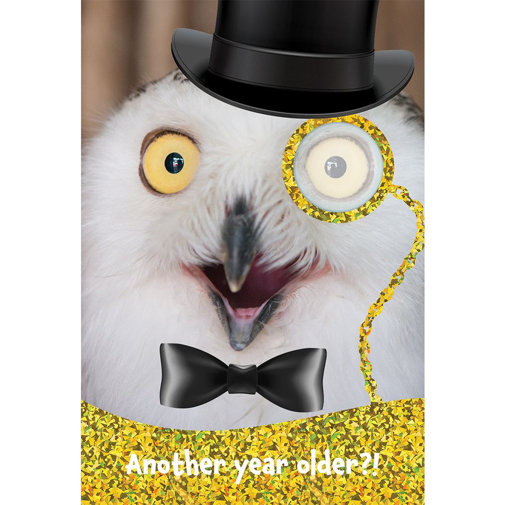 Owl Birthday Card