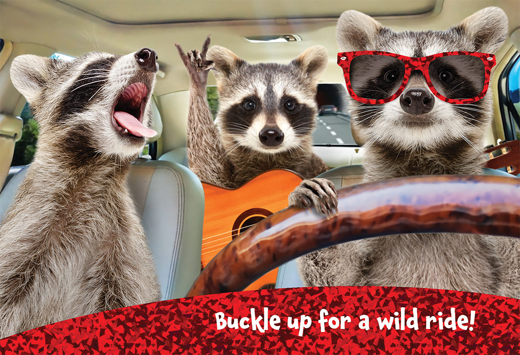 Raccoon Trio Birthday Card