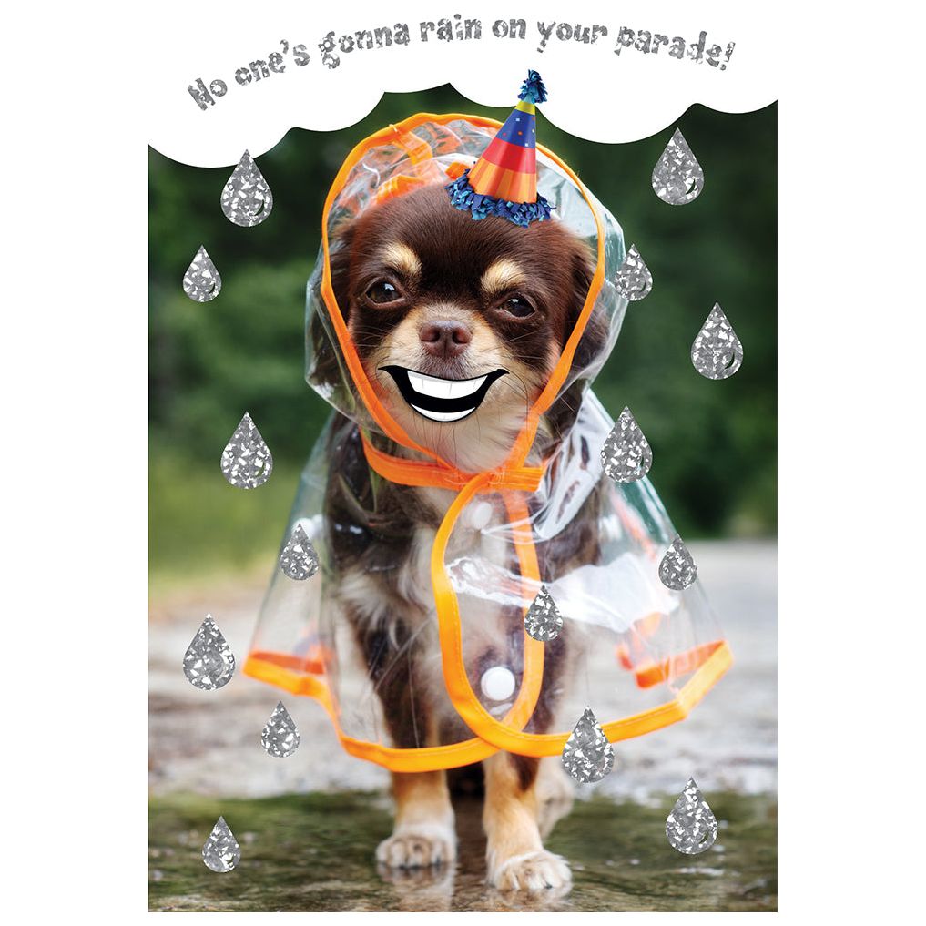 Raincoat Puppy Birthday Card