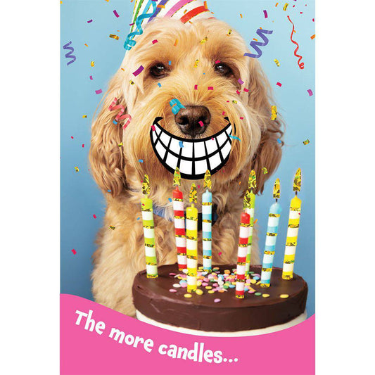 Pictura birthday party dog card featuring a festive design with a cute dog and birthday elements, perfect for celebrating.