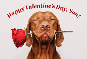 Dog With Rose Valentine's Card Son