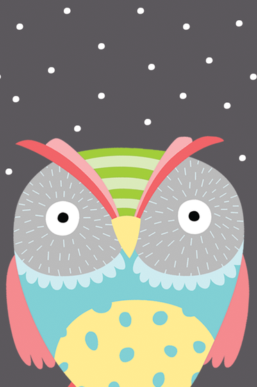 Owl Smart Cloth - Cardmore