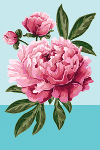 Peony Smart Cloth - Cardmore