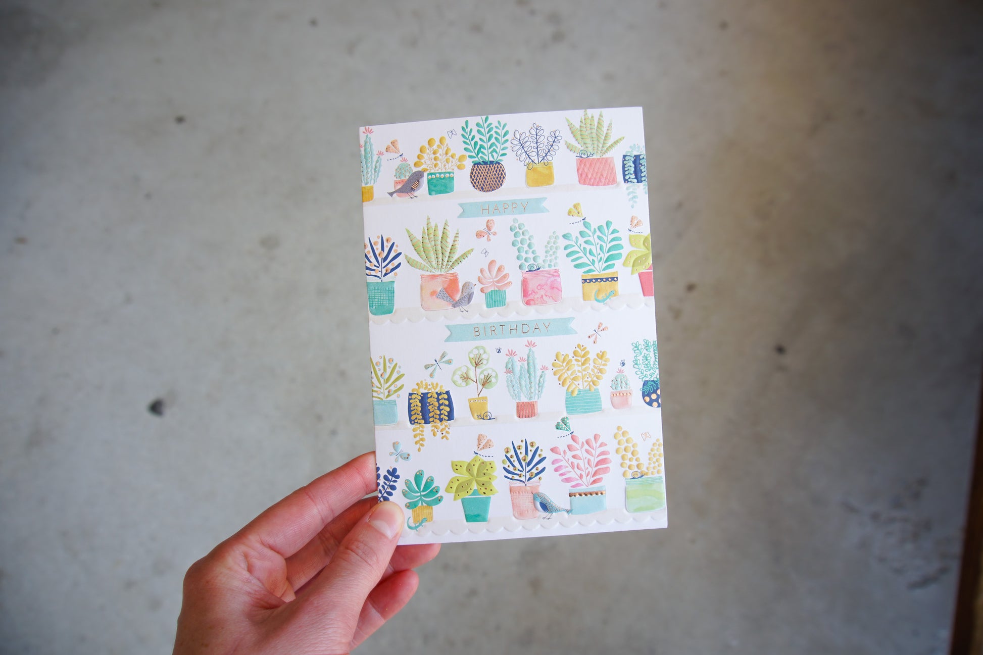 Garden Of Planters Birthday Card - Cardmore