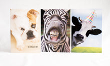 Zebra Teeth, Cheeeese! Funny Birthday Card