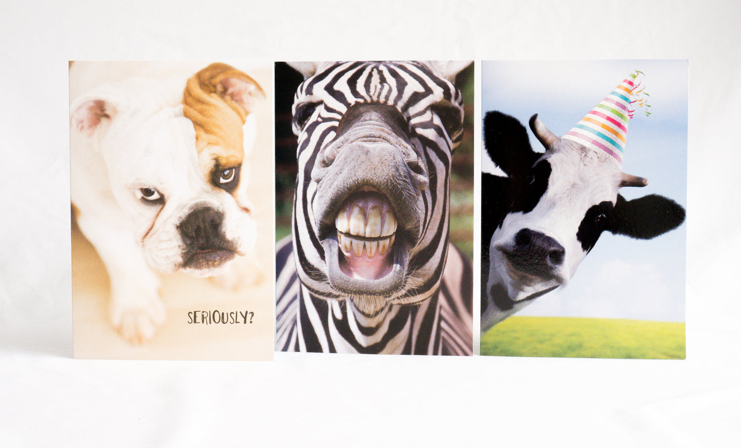 Bulldog Seriously Funny Birthday Card