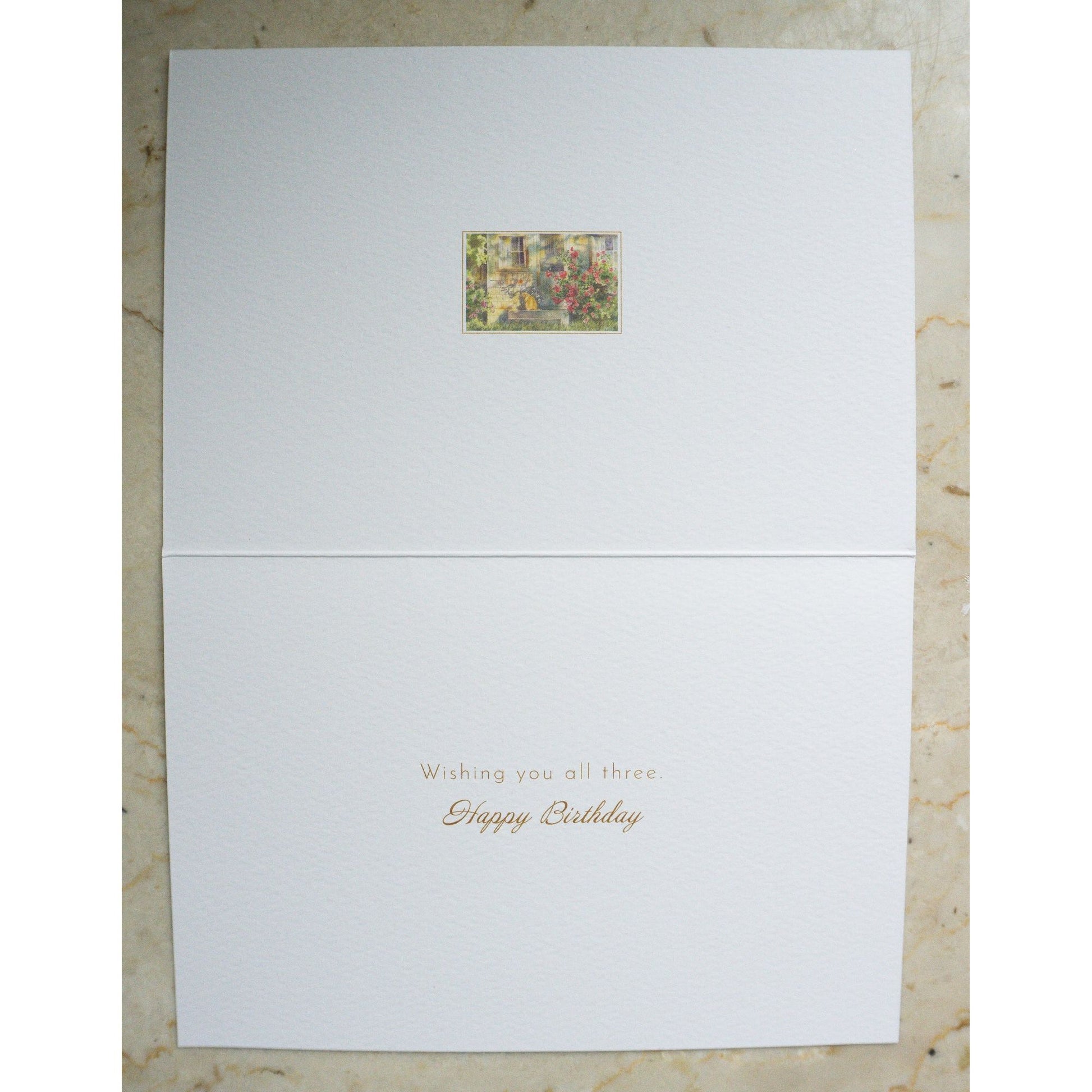 Cat and Flowers Birthday Card - Cardmore