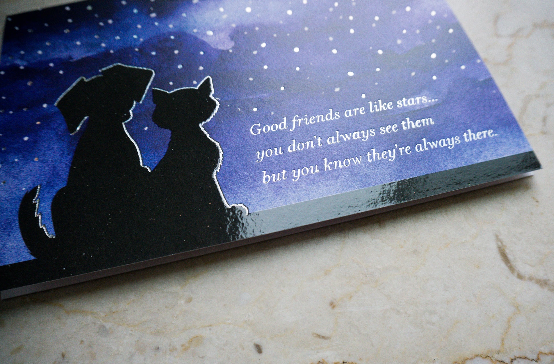Pets and Stars Birthday Card Friend - Cardmore