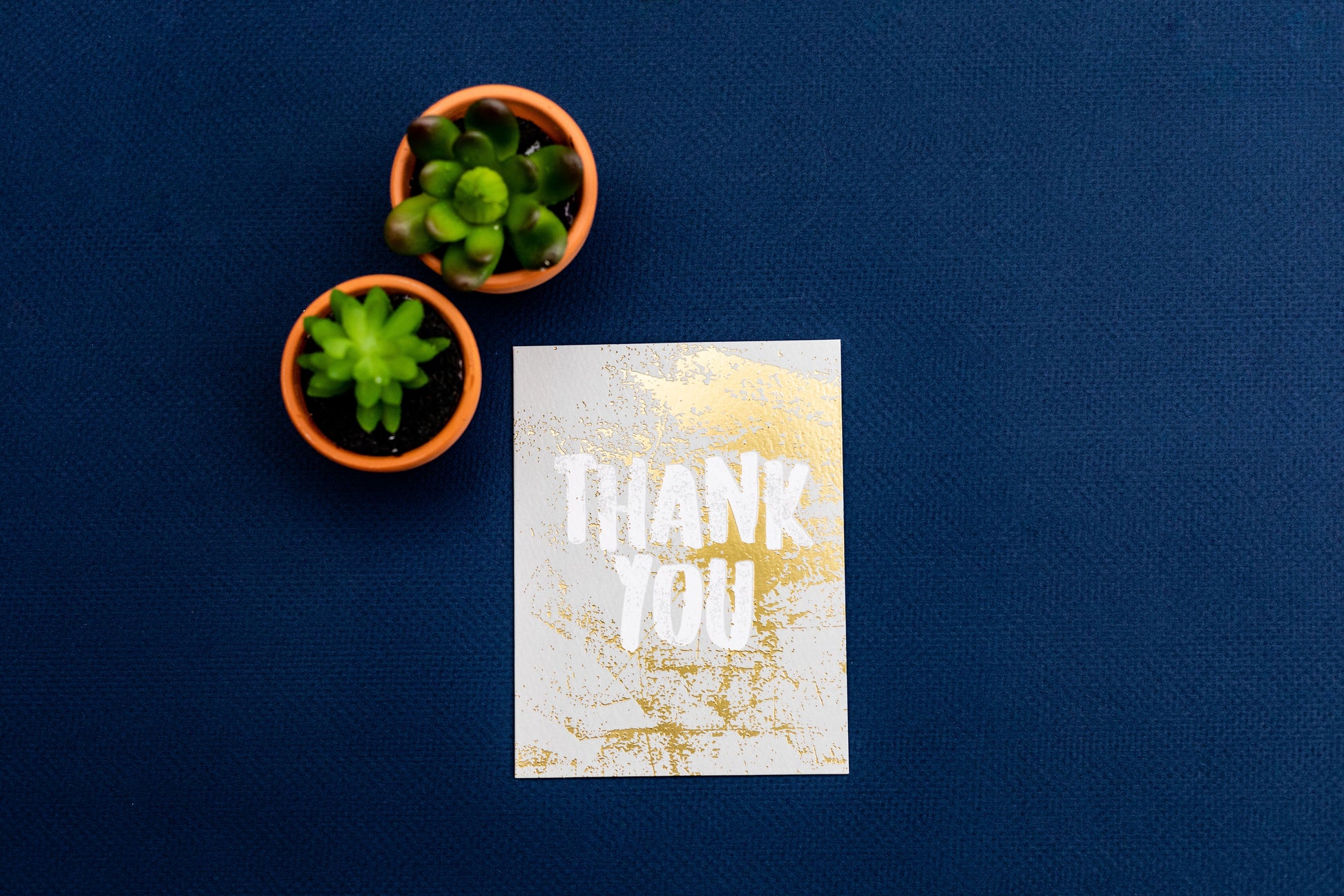 Thank You - Thank You Card - Cardmore