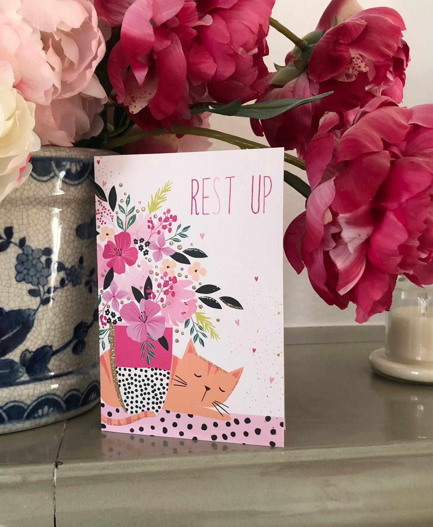 Sleeping Cat Get Well Card Sara Miller