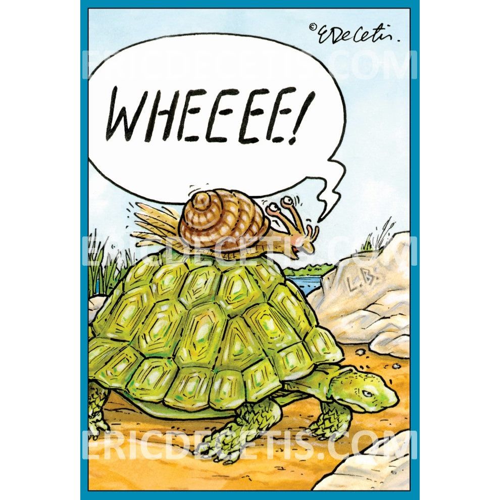 Turtle & Snail Birthday Card Eric Decetis 30445 - Cardmore